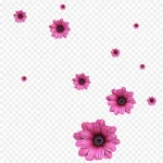 橘色撒花庆祝 高清PNG