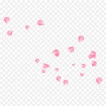 粉色花瓣撒花庆祝 免费PNG素材