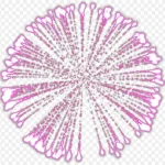 烟花庆祝素材 免费PNG素材