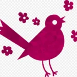 小鸟剪贴画 高清PNG