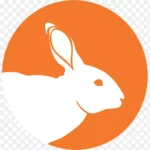 兔子剪贴画 免费PNG素材