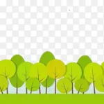 剪贴画树 高清PNG