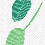 叶子剪贴画效果 免费PNG素材