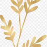 剪贴画叶子 高清PNG