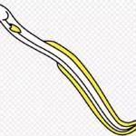 鳗鱼剪贴画 高清PNG