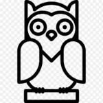 猫头鹰剪贴画 透明背景PNG