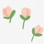 卡通花朵 PNG素材下载