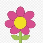 花朵 透明背景PNG