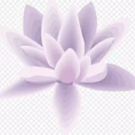 花朵印花简约花朵 免费PNG素材