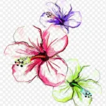 水彩花朵 高清PNG