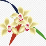 紫罗兰花朵中国风花朵 免费PNG素材