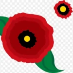 紫罗兰花朵中国风花朵 免费PNG素材