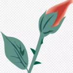 花朵抽象花朵绿色 PNG素材下载