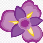 花朵俯视单色花朵 高清PNG