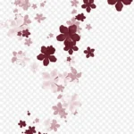 漂浮棕色花朵 PNG素材下载