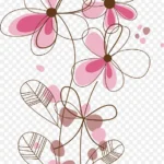 花朵线条 透明背景PNG