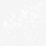 漂浮白色花朵 PNG素材下载