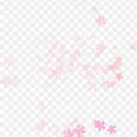 漂浮粉色花朵 高清PNG