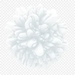 冰点花朵 透明背景PNG