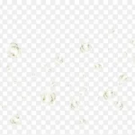 漂浮水泡花朵 PNG素材下载