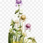 花朵紫色花朵彩绘花朵 高清PNG