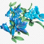 卡通蓝色花朵装饰 透明背景PNG