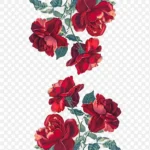 红色水墨花朵 高清PNG