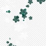 漂浮花朵 高清PNG