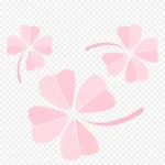 粉色花朵 透明背景PNG