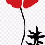 时尚花纹花朵鲜花 免费PNG素材