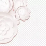 手绘浮雕花朵 高清PNG