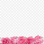 水彩花朵 透明背景PNG