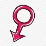 女性符号 高清PNG