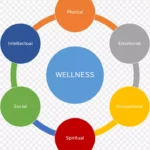 全面健康模型 高清PNG