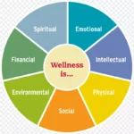 全面健康概念图 免费PNG素材